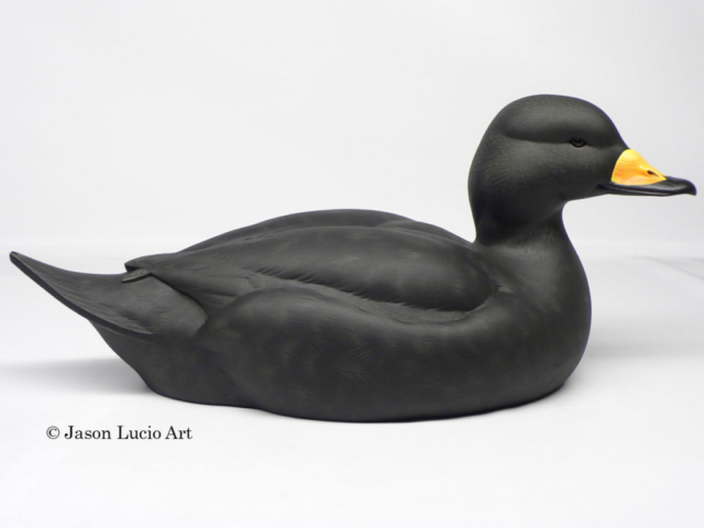 Black Scoter duck decoy by Jason Lucio