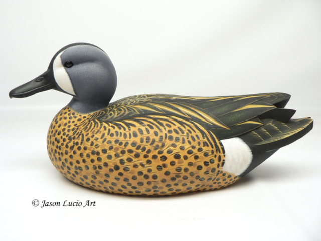 Blue-winged Teal Drake duck decoy by Jason Lucio