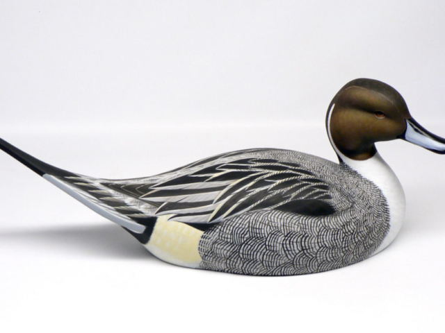 Pintail drake duck decoy by Jason Lucio